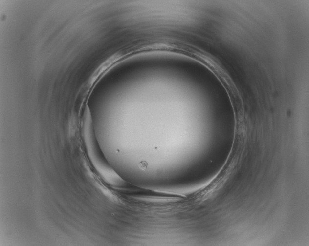 X0000063520858200601201431