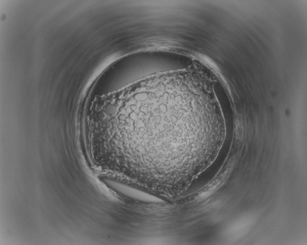 X0000063520859200601201431