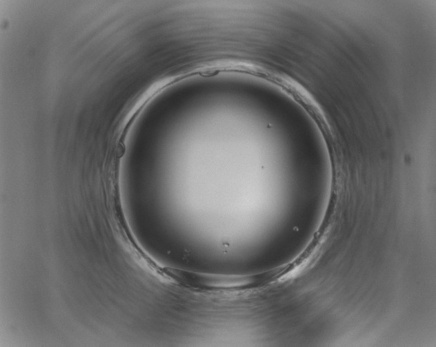 X0000063520860200601201431