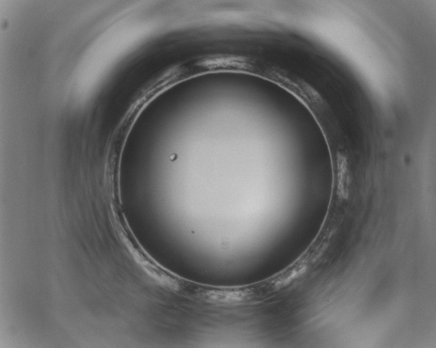 X0000063520861200601201431