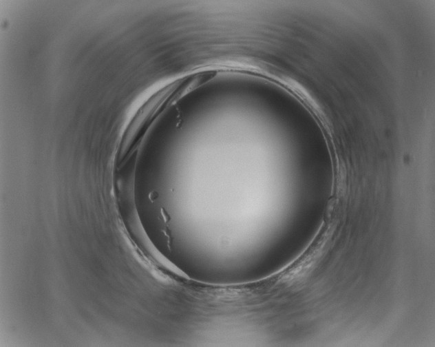 X0000063520862200601201431