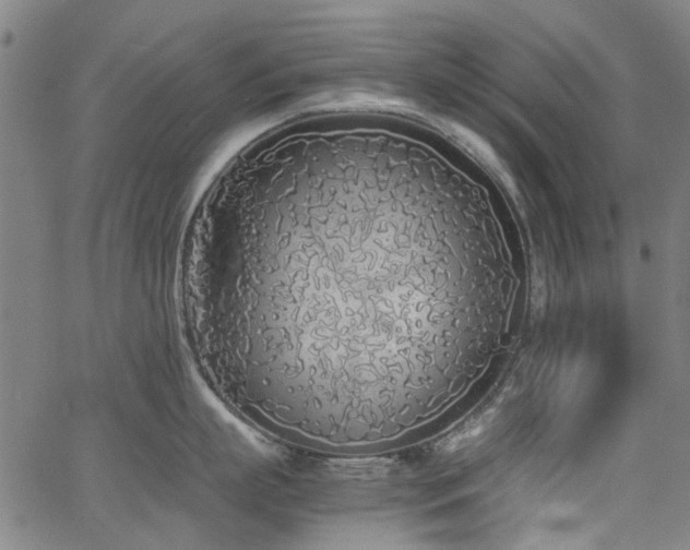 X0000063520863200601201431