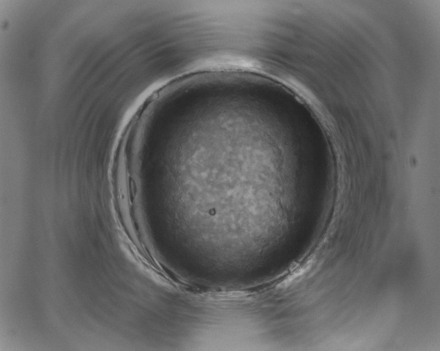 X0000063520864200601201431