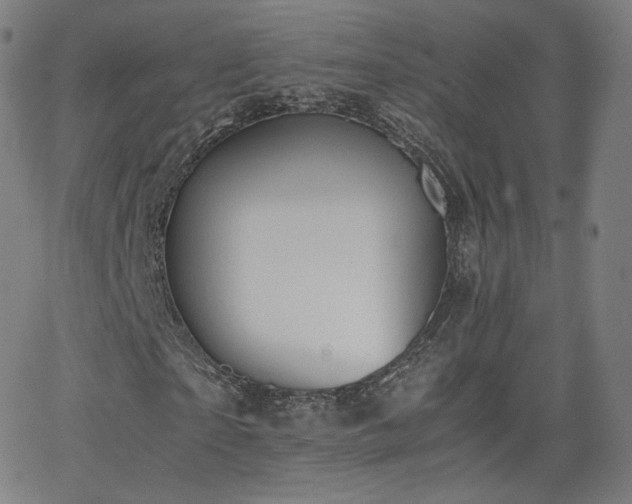 X0000063520865200601201430