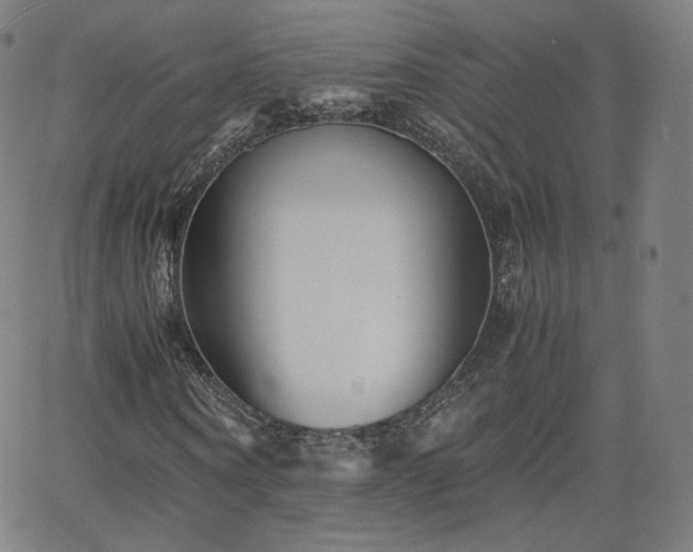 X0000063520866200601201430