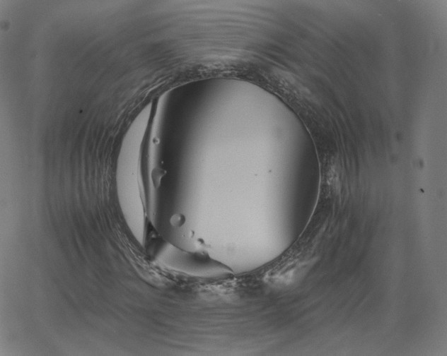 X0000063520868200601201430