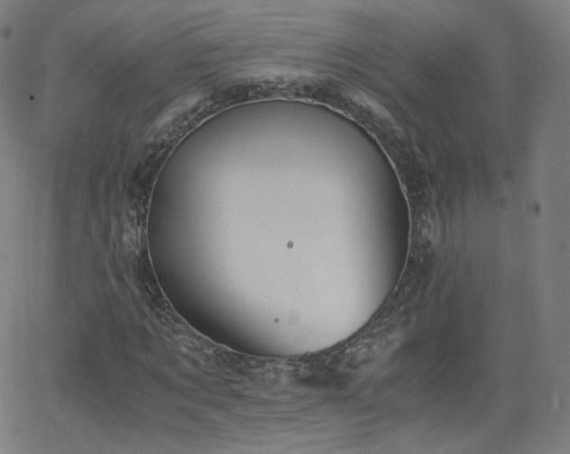 X0000063520869200601201430