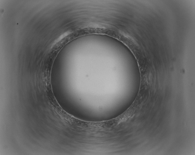 X0000063520870200601201430