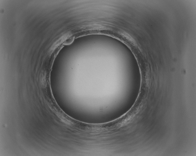 X0000063520873200601201430