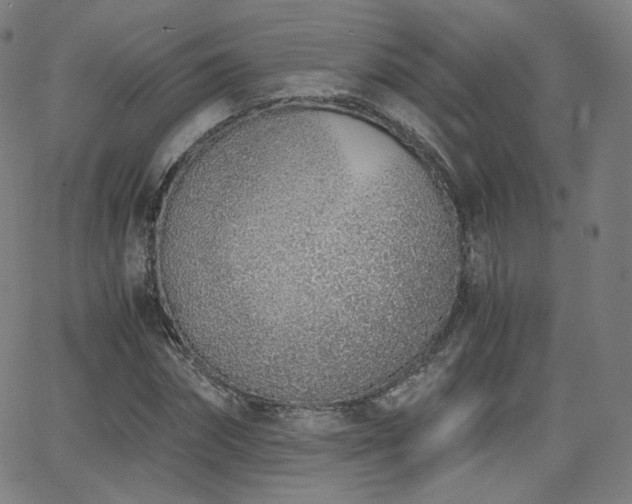 X0000063520874200601201430