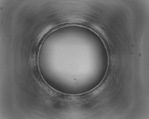 X0000063520875200601201430