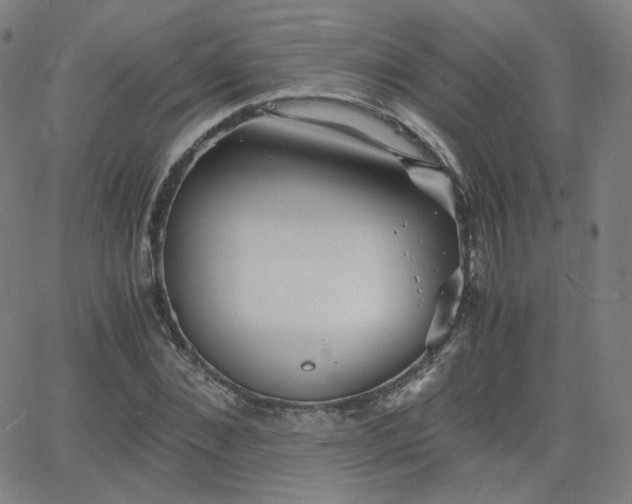 X0000063520876200601201430