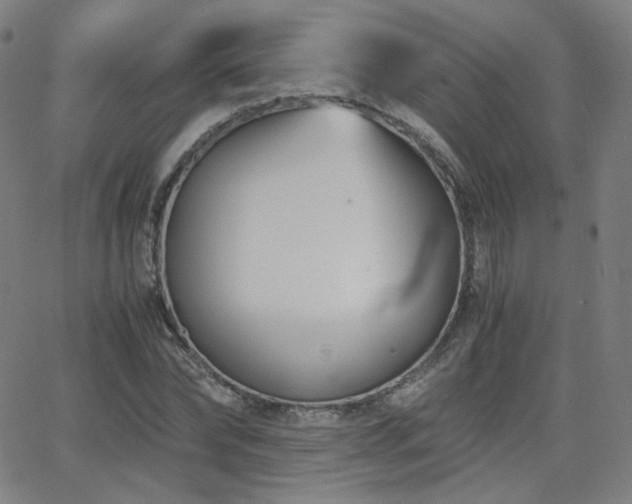 X0000063520878200601201430