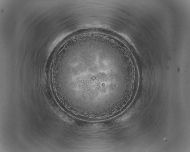 X0000063520879200601201430