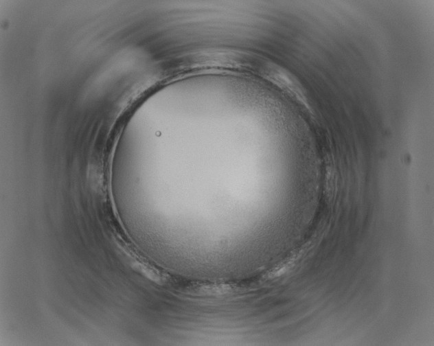 X0000063520882200601201430