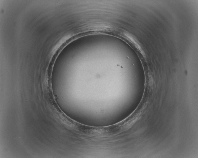 X0000063520883200601201430