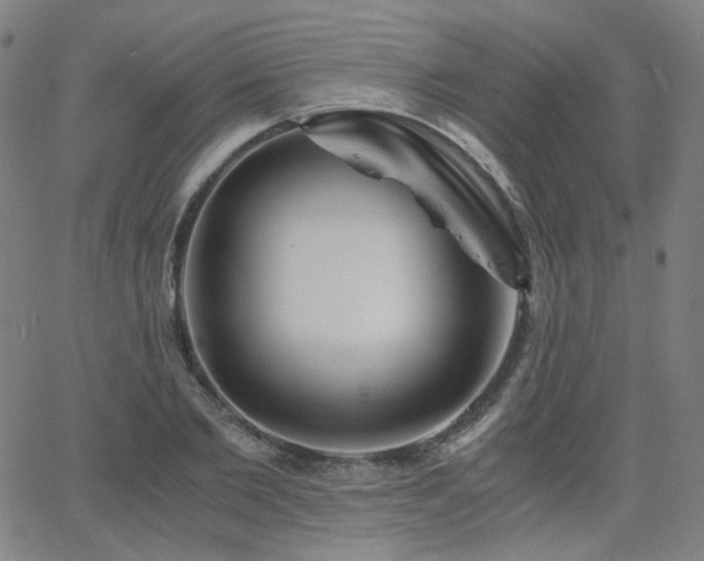 X0000063520885200601201430