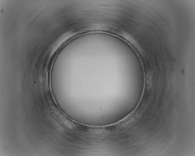 X0000063520886200601201430