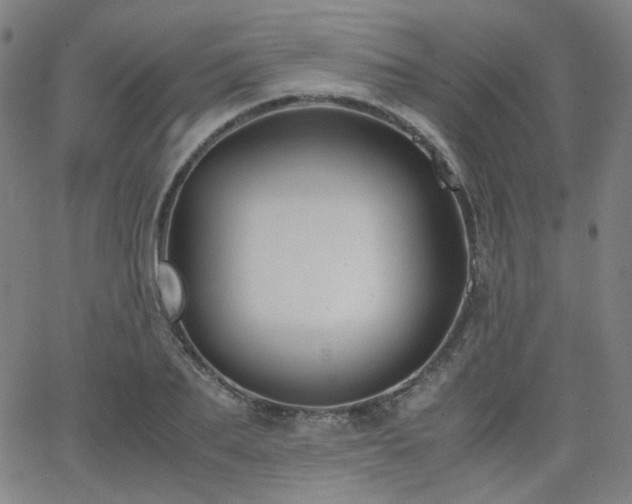 X0000063520887200601201430