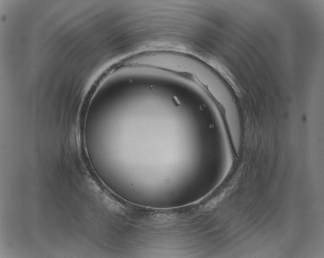 X0000063520888200601201430