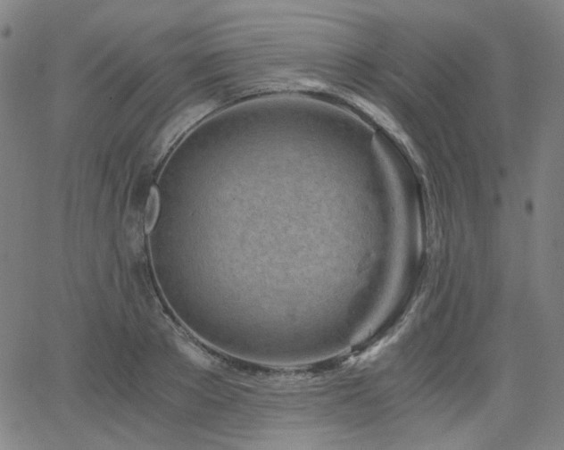 X0000063520889200601201430