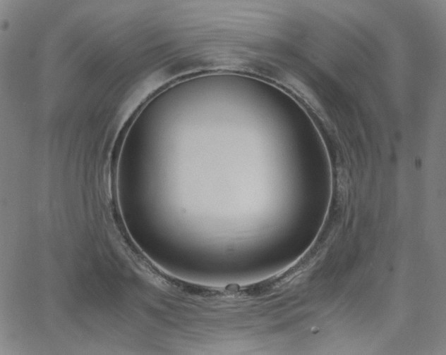 X0000063520891200601201430