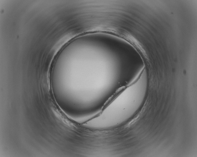 X0000063520892200601201430