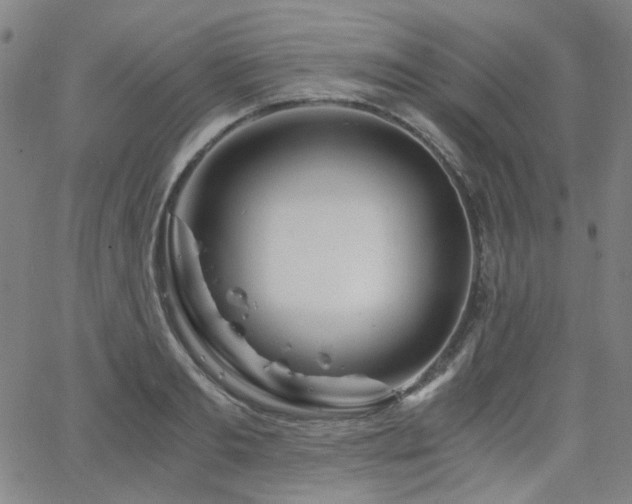 X0000063520893200601201430