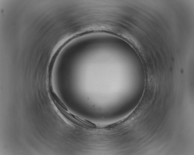 X0000063520894200601201430