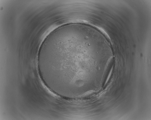 X0000063520895200601201430