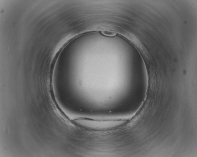 X0000063520896200601201430