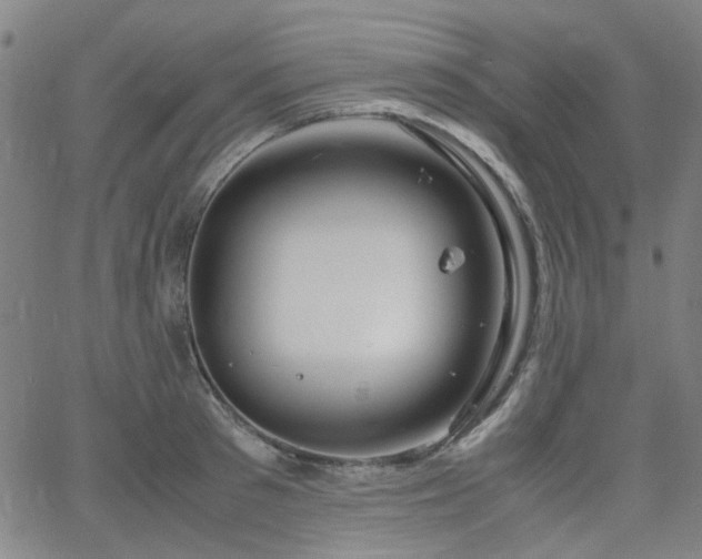 X0000063520897200601201430