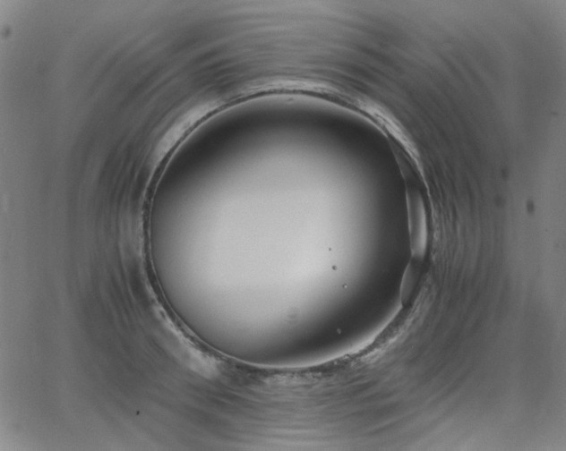 X0000063520898200601201430