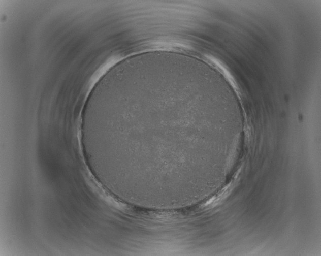 X0000063520899200601201430