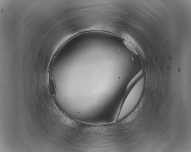 X0000063520900200601201430