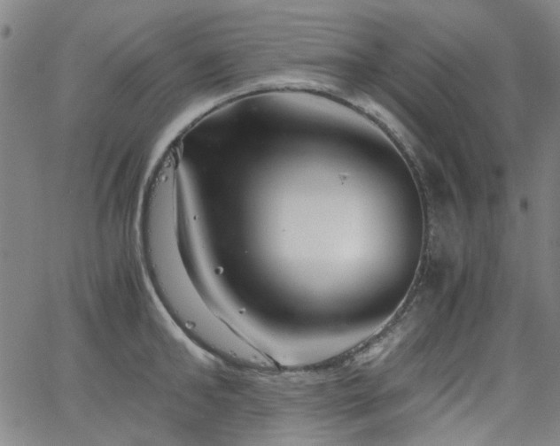 X0000063520902200601201430