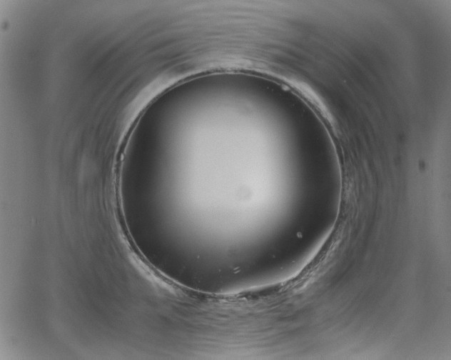 X0000063520903200601201430