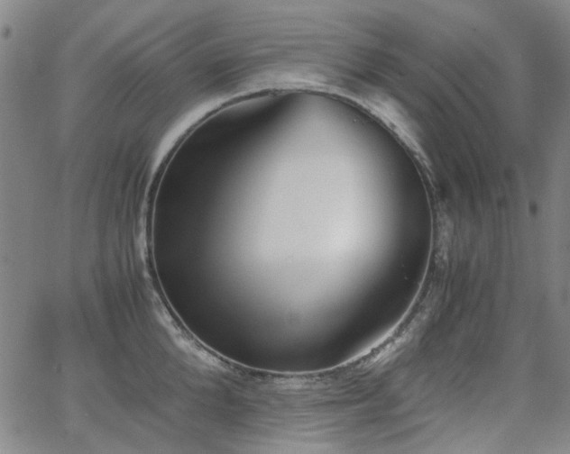 X0000063520904200601201430