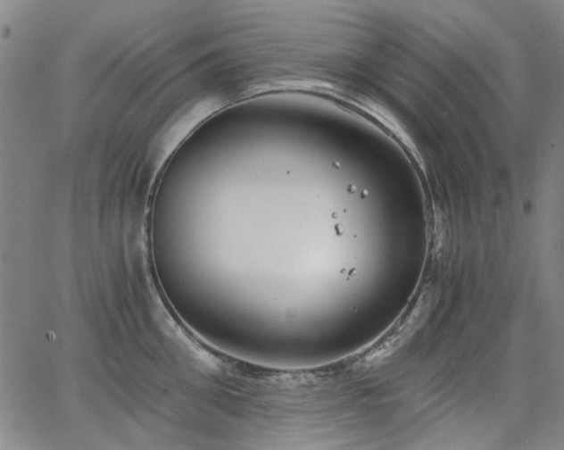 X0000063520906200601201430