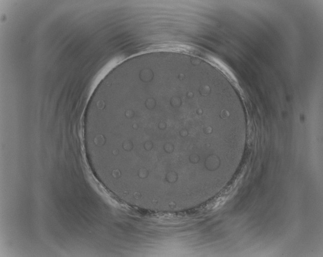 X0000063520907200601201430