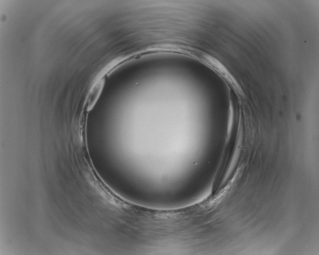 X0000063520908200601201430