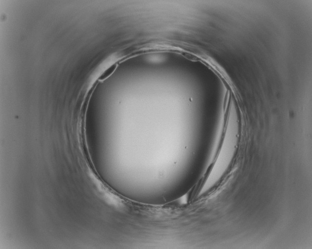 X0000063520909200601201430