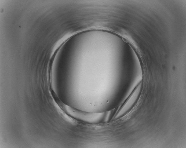 X0000063520910200601201430