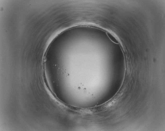 X0000063520911200601201430