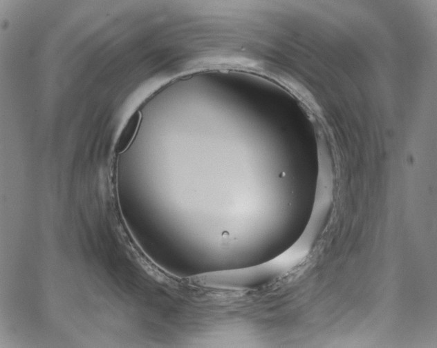 X0000063520912200601201430