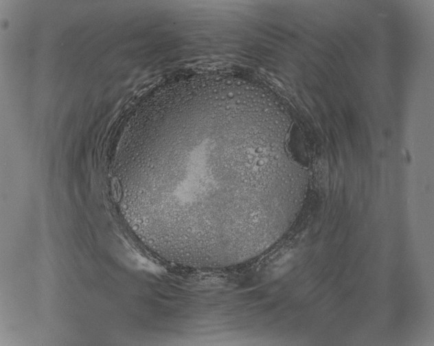 X0000063520913200601201429