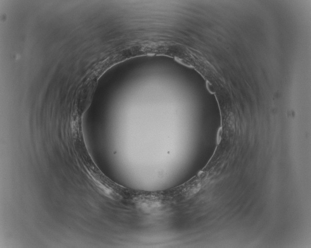 X0000063520914200601201429