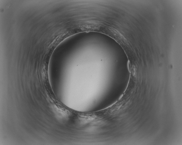 X0000063520915200601201429