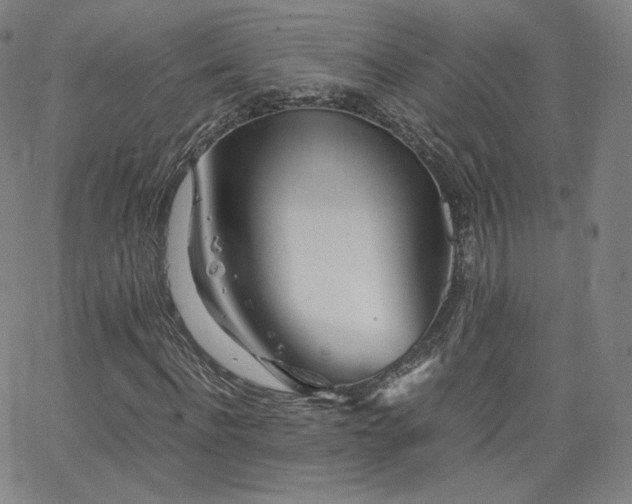 X0000063520916200601201429