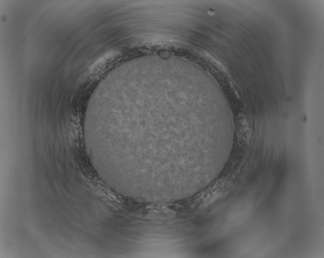 X0000063520918200601201429